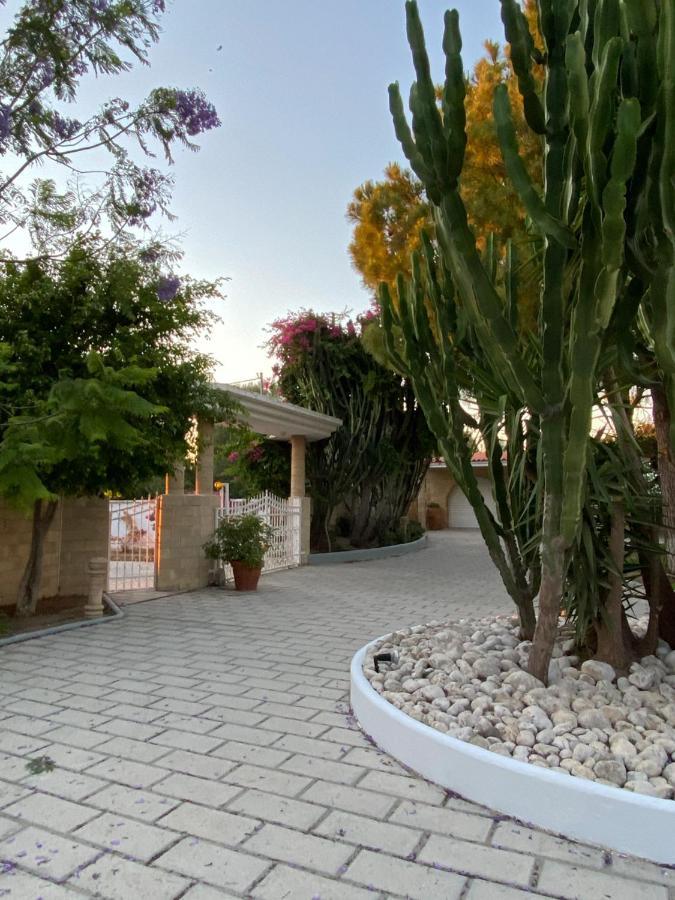 Nostrana Village Apartments Koszkinú Kültér fotó